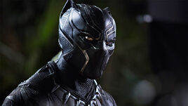 Black-panther