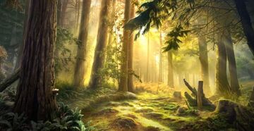 Mystery Spell Forest | Is it Love? Wiki | Fandom
