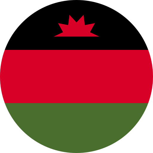 Malawi Works To Repatriate Citizens Held In Zimbabwe Isolation Centres