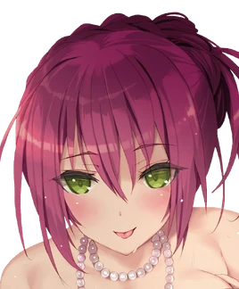 Light Novel