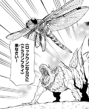 Dragonfly and Rock Wan