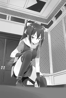 Light Novel