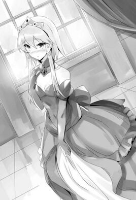 Light Novel