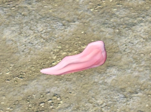 Raw Meat | Isekai War Crime Simulator Wiki | Fandom