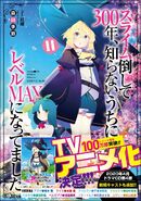 Light Novel Vol. 11