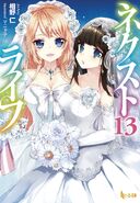 LN Vol. 13