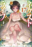 LN Vol. 17