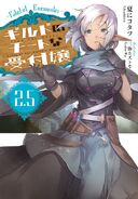 Light Novel Vol. 2.5