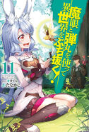 LN Vol. 11