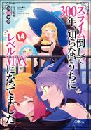 Light Novel Vol. 14 Special Edition
