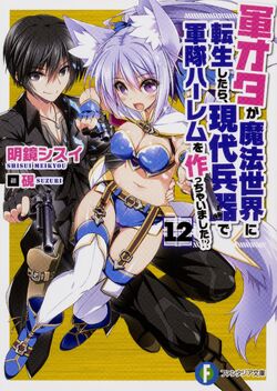 Gun-ota ga Mahou Sekai ni Tensei Shitara, Gendai Heiki de Guntai Harem wo  Tsukucchaimashita!? 13 – Japanese Book Store