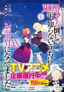 Light Novel Vol. 12