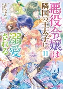 LN Vol. 11