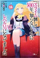 Light Novel Vol. 16