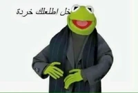 Kermit the Frog (38 KB) Image
