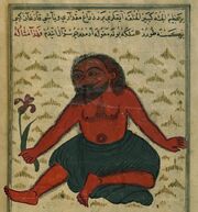 Muhammad ibn Muhammad Shakir Ruzmah-'i Nathani - The Monster of Gog and Magog - Walters W659190B - Full Page