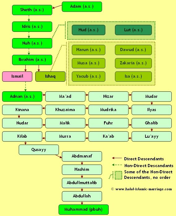 prophet muhammad wives family tree