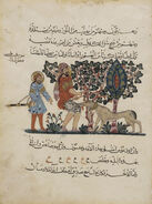 Abbasid Caliphate, Outdoor Scene of A Mad Dog Biting a Man, Arabic Translation of the Materia Medica, 1224 AD