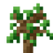 Oak Sapling.png