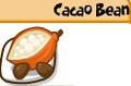 A Cacao Bean