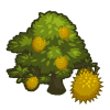100 Durian.gif