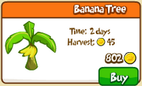 Banana Tree Store.PNG