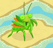 Adult Mantis