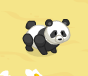 A baby panda.