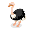 100 Ostrich.gif