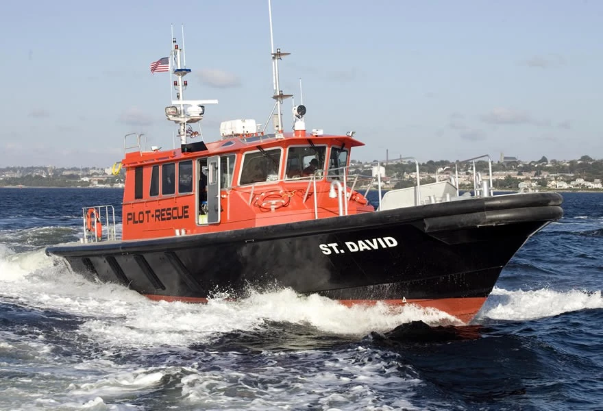 Perry | Islandside Adventures Wiki | Fandom