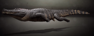 Deinosuchus swimming animation