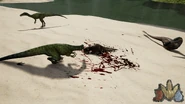 Two Herrerasaurus's and an "Austroraptor" with a successfully killed Psittacosaurus.