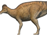 Corythosaurus