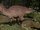 Beach Acrocanthosaurus The Isle.png