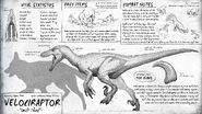 Velociraptor Dossier