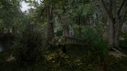 A Tyrannosaurus hiding in the bushes.