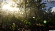Thenyaw new foliage AND lighting