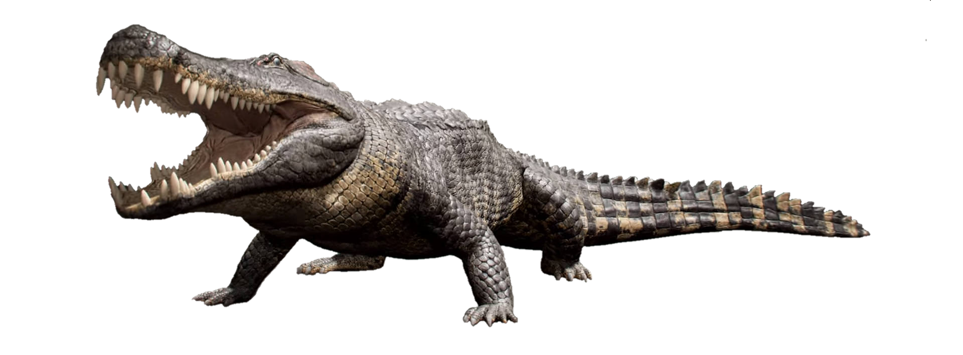 Deinosuchus, The Isle Wiki