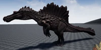 Hyperendocrin Spino Brown