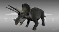 Obsidian Triceratops
