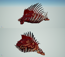 Carcass large