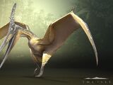 Pteranodon