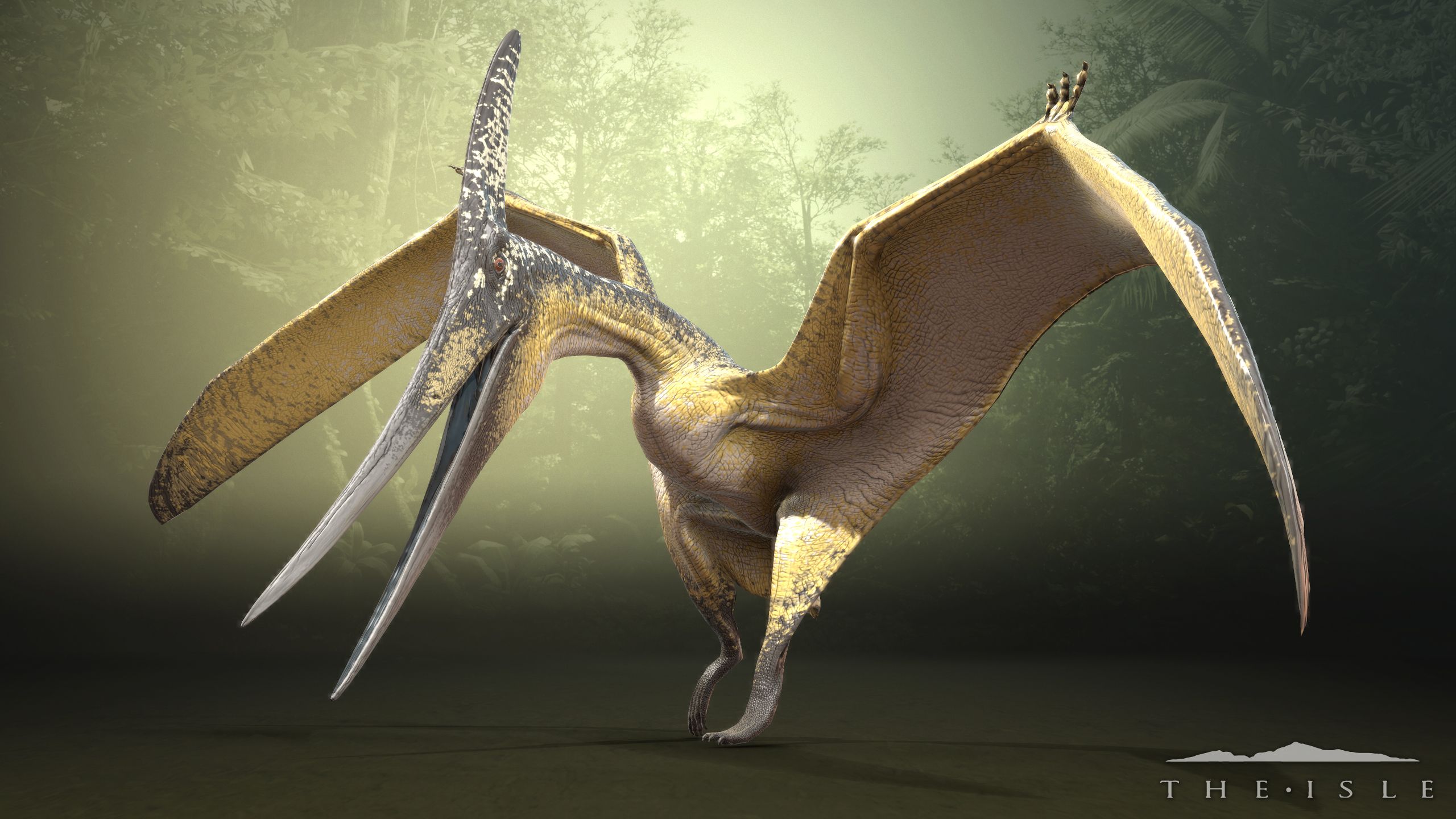 Pteranodon vs Pterodactyl, Some birds, some pterosaurs (which is