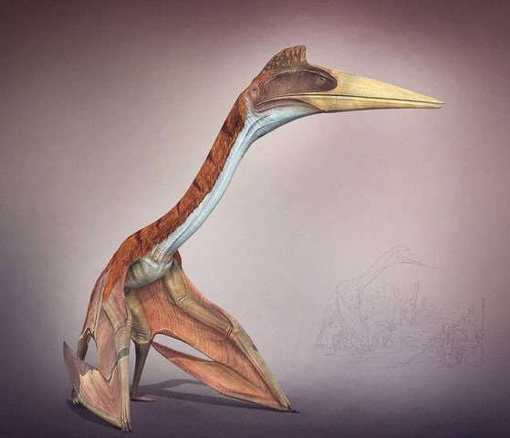 Quetzalcoatlus and Other Giant Pterosaurs were Short-Range Flyers