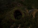 Burrowing