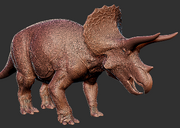 Triceratops model