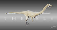 Old Albino Gallimimus