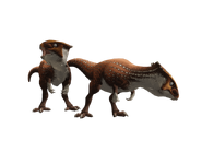 Homalocephale model 2