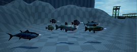 Fish The Isle