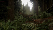 An Allosaurus patrolling the redwoods.